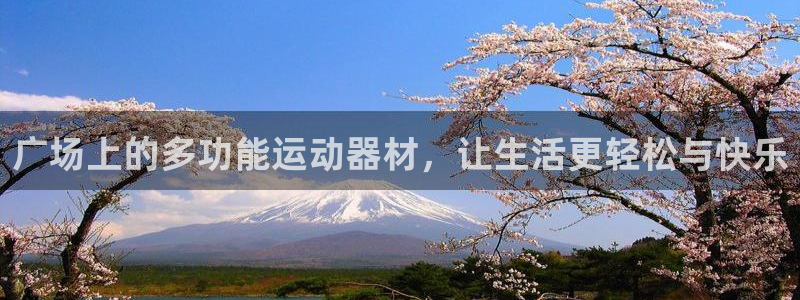 凯捷体育招商电话是多少号码：广场上的多功能运动器材，