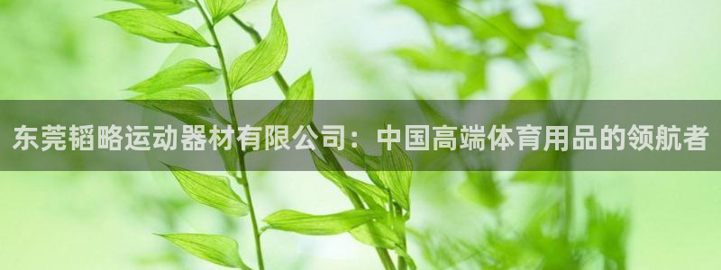 凯捷体育平台是正规平台吗知乎：东莞韬略运动器材有限公