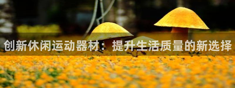 凯捷体育官网：创新休闲运动器材：提升生活质量的新选择