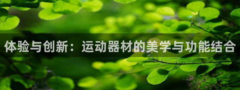 凯捷体育娱乐平台：体验与创新：运动器材的美学与功能结