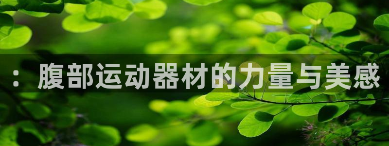 凯捷体育集团官网网址：：腹部运动器材的力量与美感