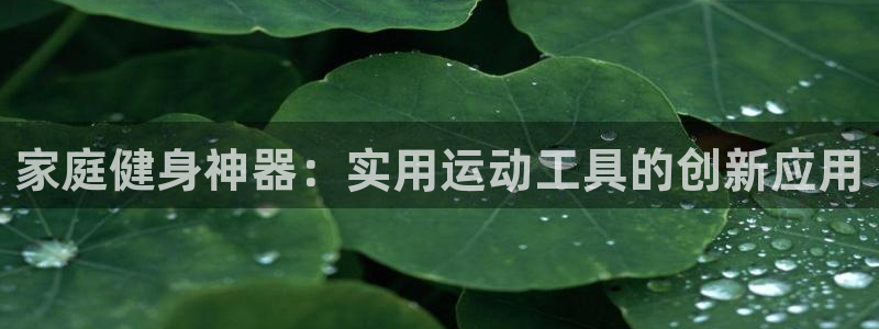 凯捷体育娱乐首页网站大全