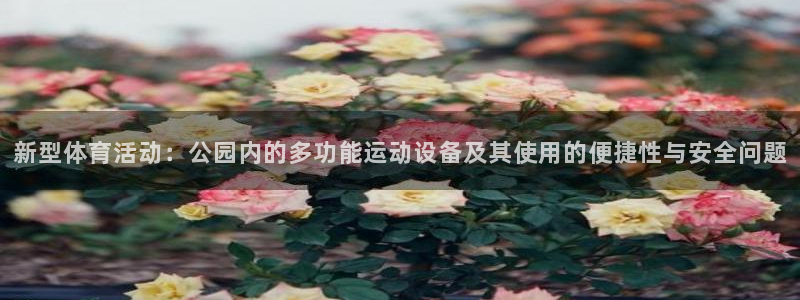 凯捷体育代理：新型体育活动：公园内的多功能运动设备及