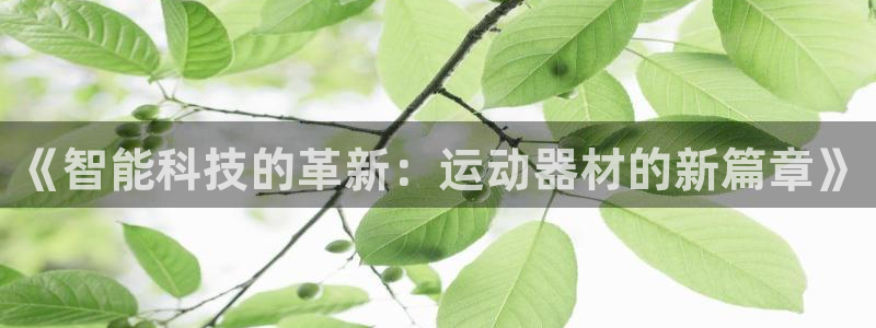 凯捷体育招商电话地址查询：《智能科技的革新：运动器材