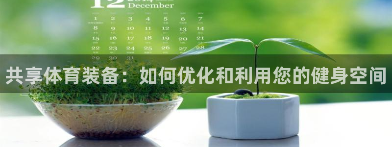 德国凯捷体育集团：共享体育装备：如何优化和利用您的健