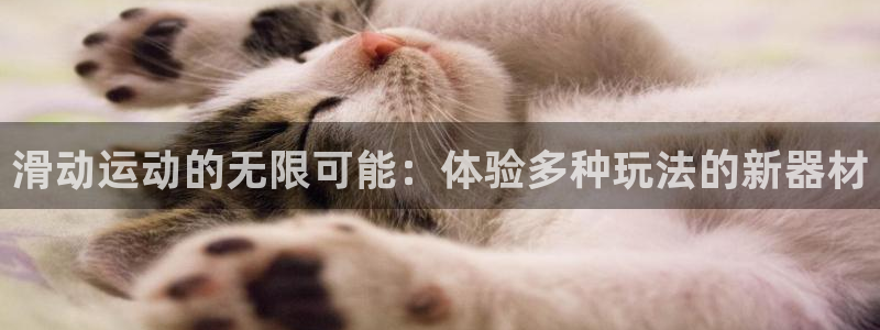 凯捷体育招商电话号码是多少：滑动运动的无限可能：体验多种玩法