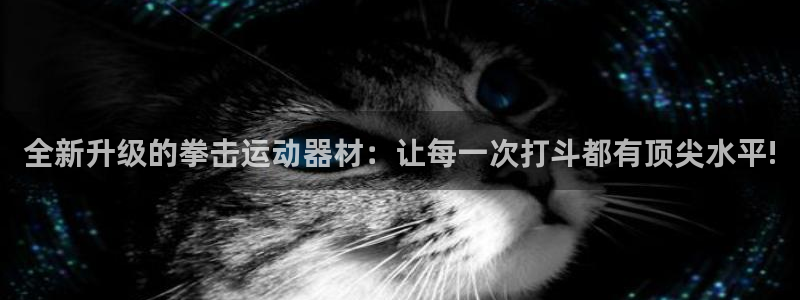 凯捷体育新能源：全新升级的拳击运动器材：让每一次打斗