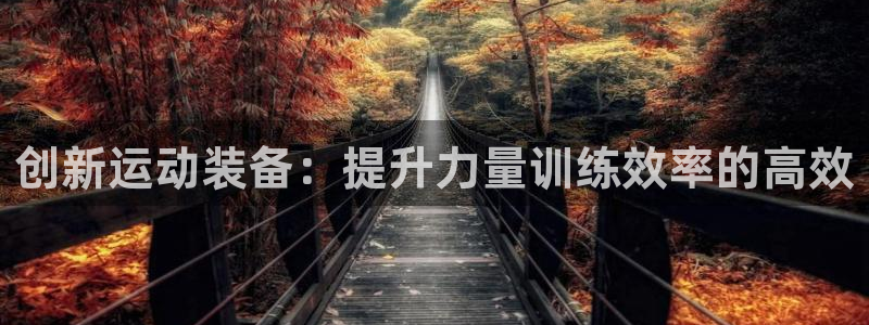 凯捷体育是干嘛的公司：创新运动装备：提升力量训练效率