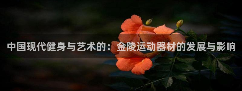 凯捷体育平台是正规平台吗：中国现代健身与艺术的：金陵