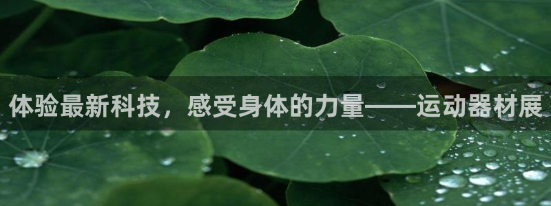 凯捷体育娱乐首页网站大全：体验最新科技，感受身体的力