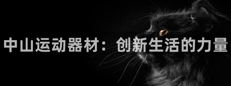 凯捷体育五金厂：中山运动器材：创新生活的力量