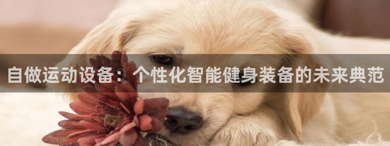 凯捷体育平台假的吗是真的吗吗：自做运动设备：个性化智能健身装