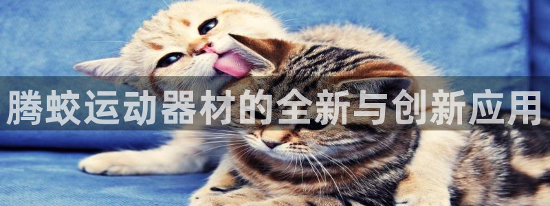 注册凯捷体育：腾蛟运动器材的全新与创新应用