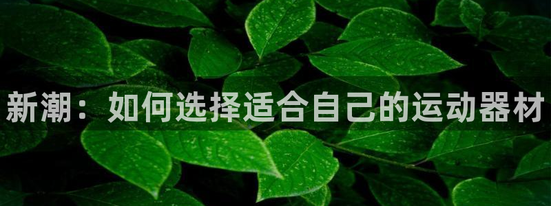 凯捷体育招商电话号码是多少：新潮：如何选择适合自己的