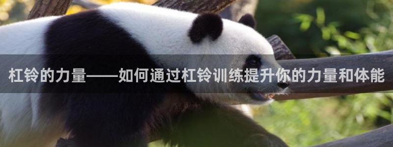 凯捷体育集团logo：杠铃的力量——如何通过杠铃训练