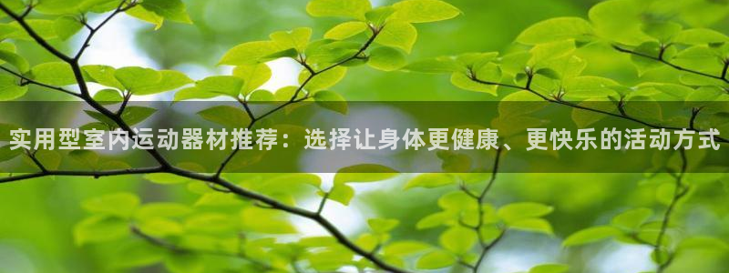 凯捷体育娱乐首页官网下载：实用型室内运动器材推荐：选