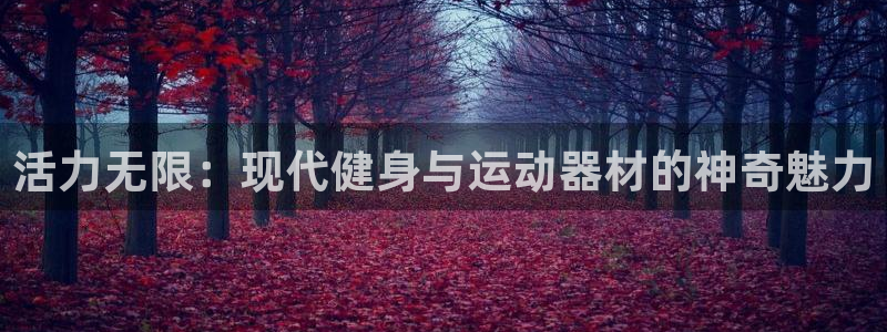 凯捷体育注册：活力无限：现代健身与运动器材的神奇魅力