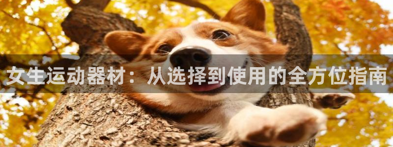 凯捷体育招商电话号码查询：女生运动器材：从选择到使用