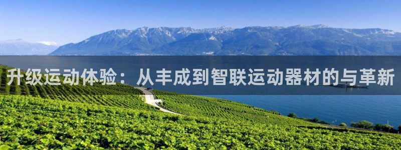凯捷体育集团官网网址