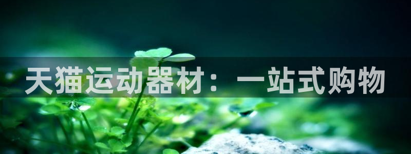 意昂平台体育：天猫运动器材：一站式购物