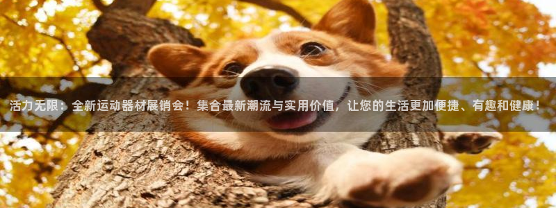 凯捷体育新能源：活力无限：全新运动器材展销会！集合最新潮流与
