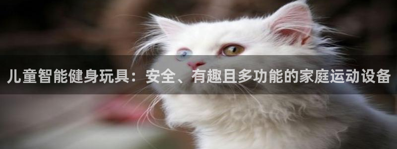 凯捷体育联系电话：儿童智能健身玩具：安全、有趣且多功能的家庭