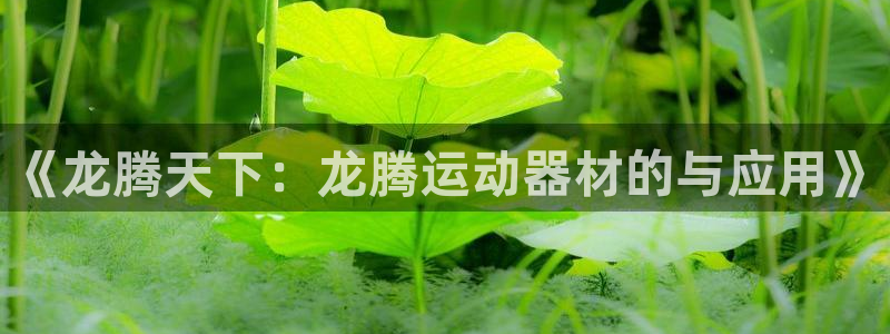 凯捷体育科技：《龙腾天下：龙腾运动器材的与应用》