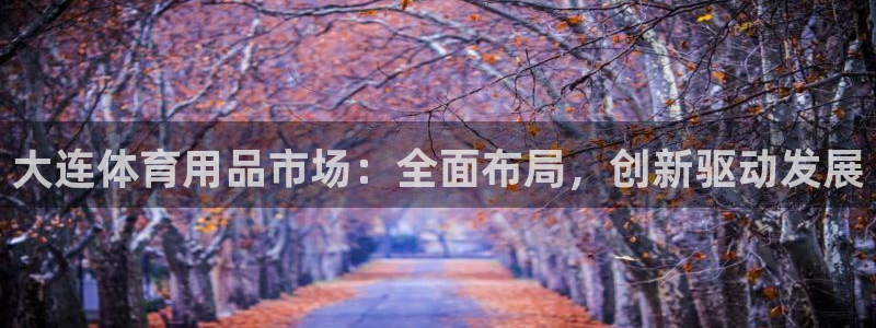 凯捷体育平台假的吗是真的吗：大连体育用品市场：全面布