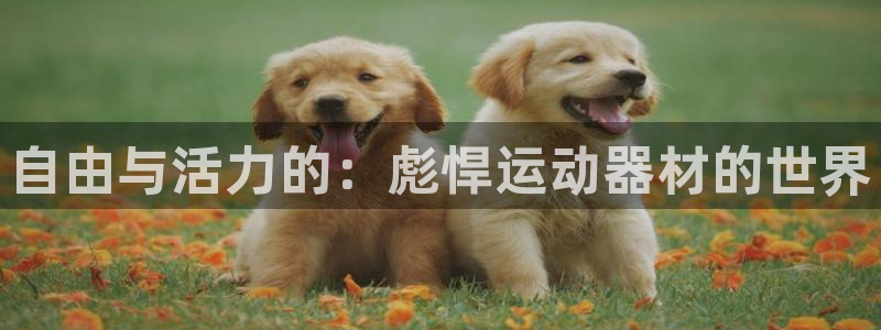 凯捷体育平台是正规平台吗知乎：自由与活力的：彪悍运动
