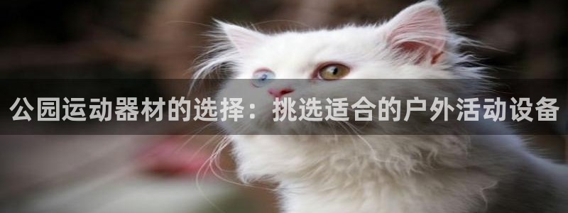 凯捷体育娱乐首页官网下载：公园运动器材的选择：挑选适