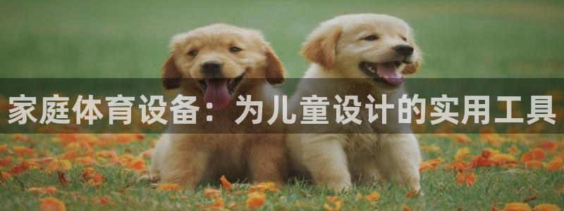 凯捷体育招商：家庭体育设备：为儿童设计的实用工具