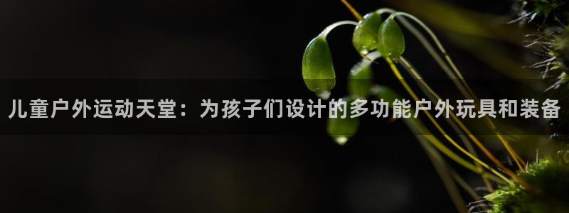 凯捷体育招商电话是多少：儿童户外运动天堂：为孩子们设