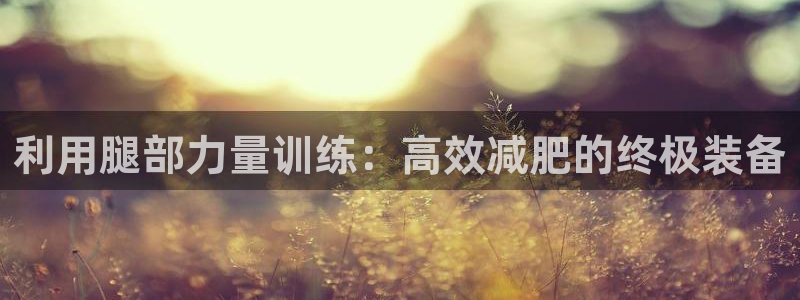 凯捷体育平台注册流程视频：利用腿部力量训练：高效减肥