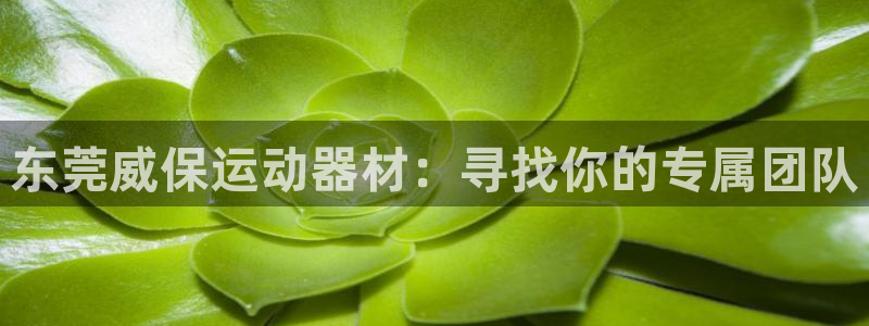 注册凯捷体育：东莞威保运动器材：寻找你的专属团队
