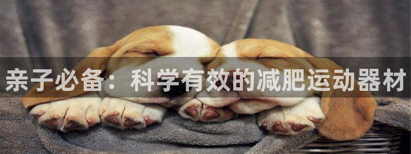 凯捷体育招商：亲子必备：科学有效的减肥运动器材