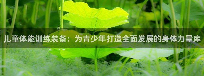 凯捷体育代理：儿童体能训练装备：为青少年打造全面发展