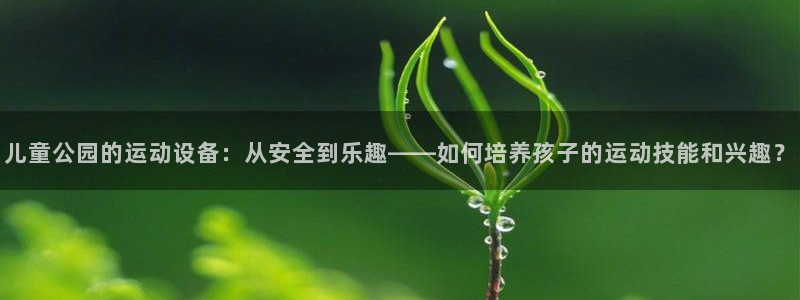 凯捷体育娱乐：儿童公园的运动设备：从安全到乐趣——如