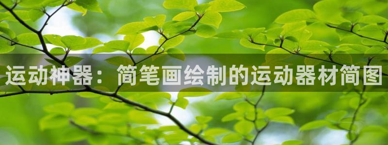 凯捷体育开户：运动神器：简笔画绘制的运动器材简图