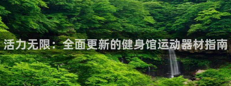 凯捷体育集团logo：活力无限：全面更新的健身馆运动器材指南