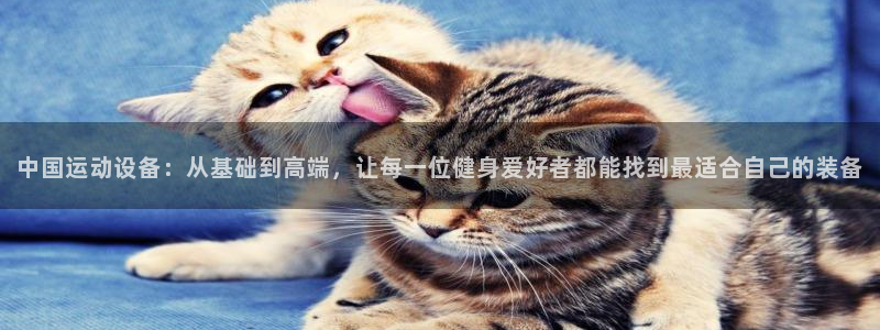 凯捷体育注册：中国运动设备：从基础到高端，让每一位健