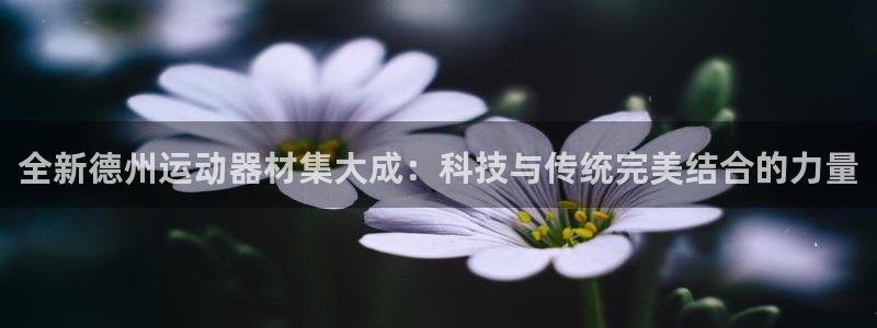 凯捷体育集团logo：全新德州运动器材集大成：科技与传统完美