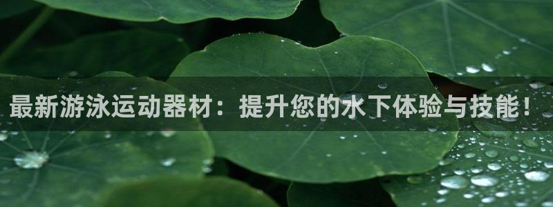 凯捷体育平台假的吗是真的吗吗：最新游泳运动器材：提升您的水下