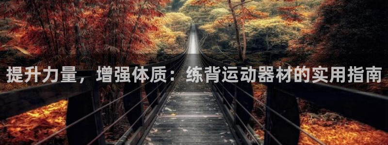 凯捷体育软件：提升力量，增强体质：练背运动器材的实用指南