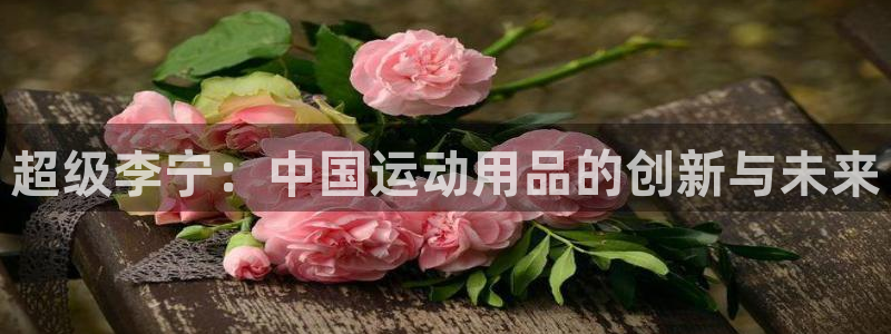 凯捷体育集团logo：超级李宁：中国运动用品的创新与