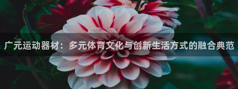 凯捷体育平台是正规平台吗：广元运动器材：多元体育文化