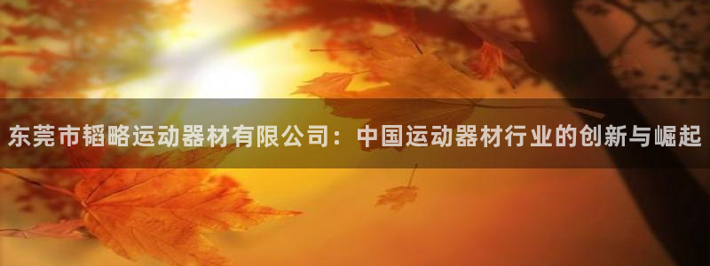 凯捷体育集团官网首页：东莞市韬略运动器材有限公司：中