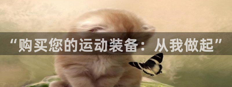 凯捷体育招商：“购买您的运动装备：从我做起”