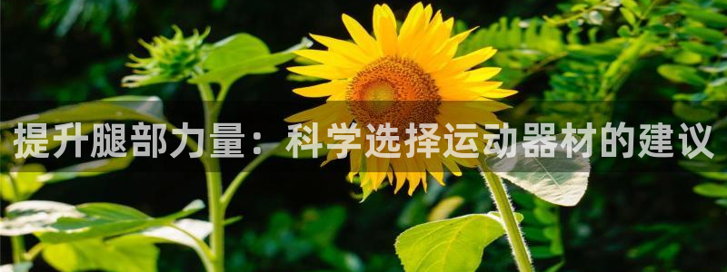 凯捷体育集团官网首页：提升腿部力量：科学选择运动器材