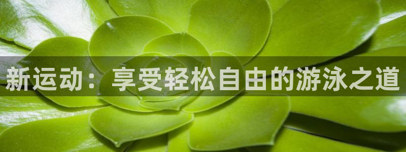 凯捷体育平台假的吗是真的吗吗：新运动：享受轻松自由的