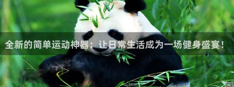 凯捷体育平台：全新的简单运动神器：让日常生活成为一场